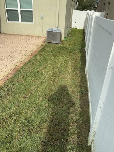 Lawn-Services-Brandon-FL-1071