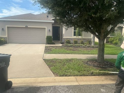 Lawn-Services-Brandon-FL-1072