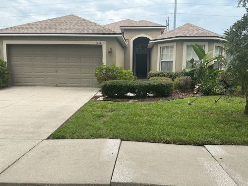 Lawn-Services-Brandon-FL-1077