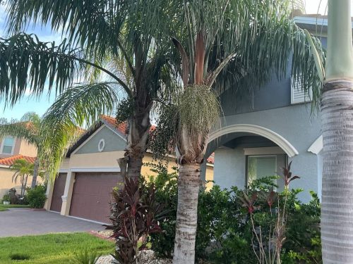Lawn-Services-Brandon-FL-1078