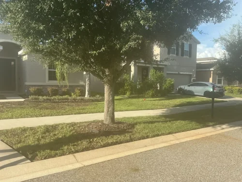 Lawn-Services-Brandon-FL-9-8-26-102
