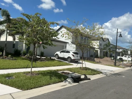 Lawn-Services-Brandon-FL-9-8-26-107