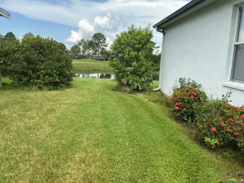 Lawn-Services-Brandon-FL-9-8-26-110