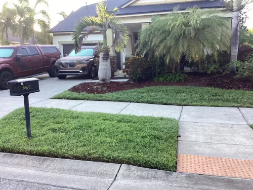 Lawn-Services-Brandon-FL-9-8-26-111