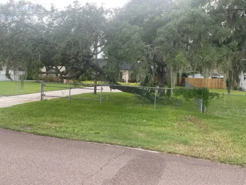 Lawn-Services-Brandon-FL-9-8-26-114