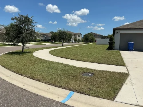 Lawn-Services-Brandon-FL-9-8-26-119