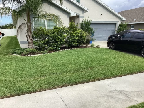 Lawn-Services-Brandon-FL-9-8-26-120