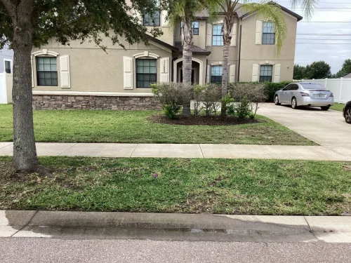Lawn-Services-Brandon-FL-9-8-26-122