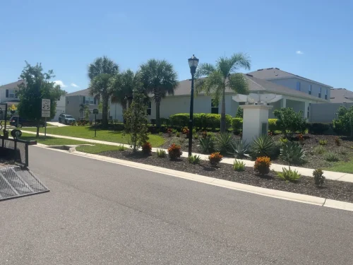 Lawn-Services-Brandon-FL-9-8-26-123