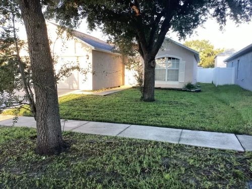 Lawn-Services-Brandon-FL-9-8-26-125