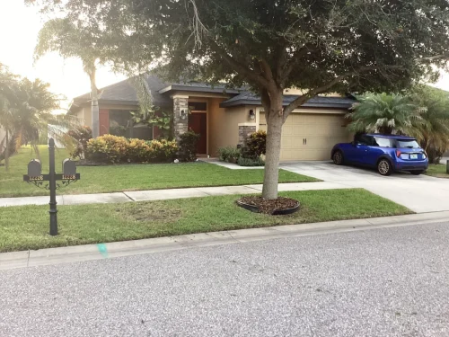 Lawn-Services-Brandon-FL-9-8-26-127