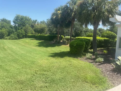 Lawn-Services-Brandon-FL-9-8-26-129