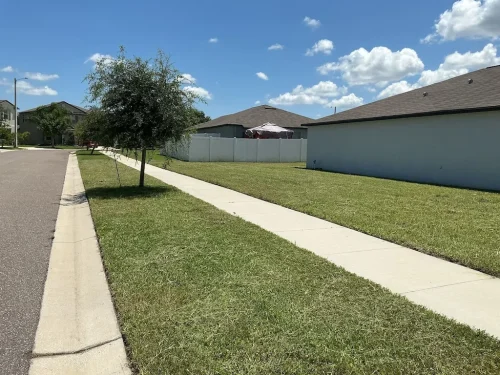 Lawn-Services-Brandon-FL-9-8-26-13