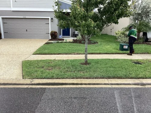 Lawn-Services-Brandon-FL-9-8-26-2