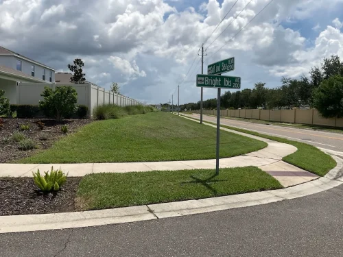 Lawn-Services-Brandon-FL-9-8-26-23
