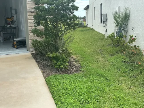 Lawn-Services-Brandon-FL-9-8-26-24