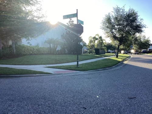 Lawn-Services-Brandon-FL-9-8-26-25