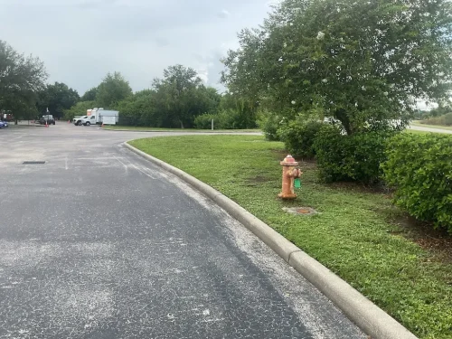 Lawn-Services-Brandon-FL-9-8-26-35