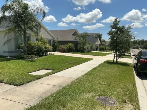 Lawn-Services-Brandon-FL-9-8-26-38