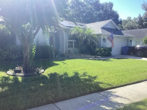 Lawn-Services-Brandon-FL-9-8-26-42