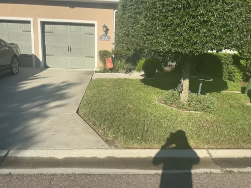 Lawn-Services-Brandon-FL-9-8-26-45