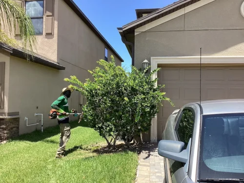 Lawn-Services-Brandon-FL-9-8-26-49