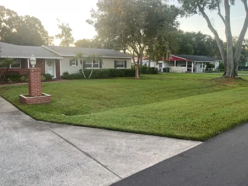Lawn-Services-Brandon-FL-9-8-26-57