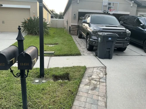 Lawn-Services-Brandon-FL-9-8-26-59