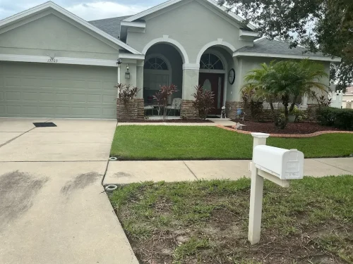 Lawn-Services-Brandon-FL-9-8-26-62