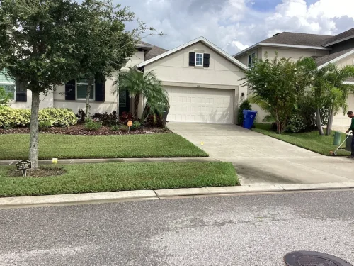Lawn-Services-Brandon-FL-9-8-26-66