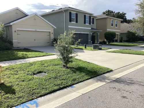 Lawn-Services-Brandon-FL-9-8-26-7