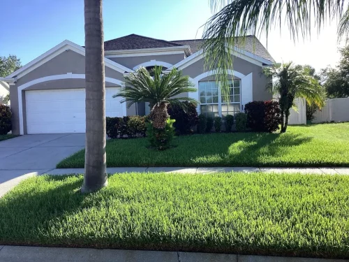 Lawn-Services-Brandon-FL-9-8-26-71