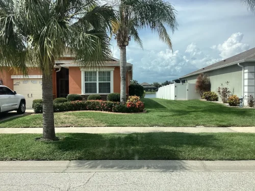 Lawn-Services-Brandon-FL-9-8-26-72