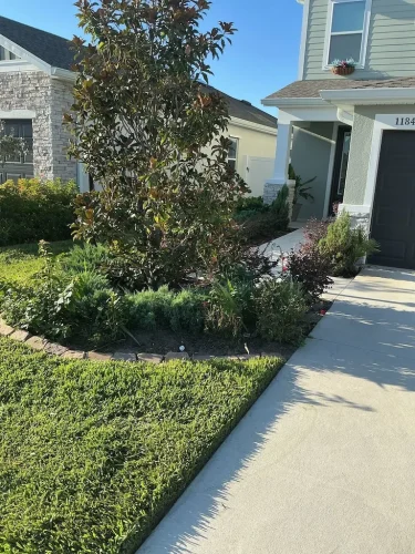 Lawn-Services-Brandon-FL-9-8-26-76
