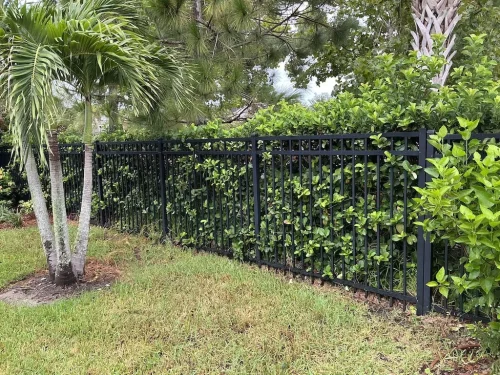 Lawn-Services-Brandon-FL-9-8-26-77