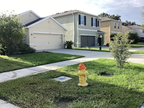 Lawn-Services-Brandon-FL-9-8-26-8