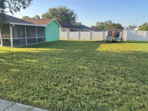 Lawn-Services-Brandon-FL-9-8-26-80