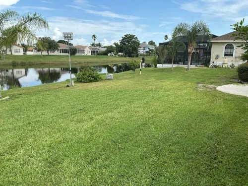 Lawn-Services-Brandon-FL-9-8-26-81