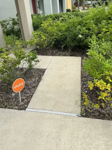 Lawn-Services-Brandon-FL-9-8-26-82