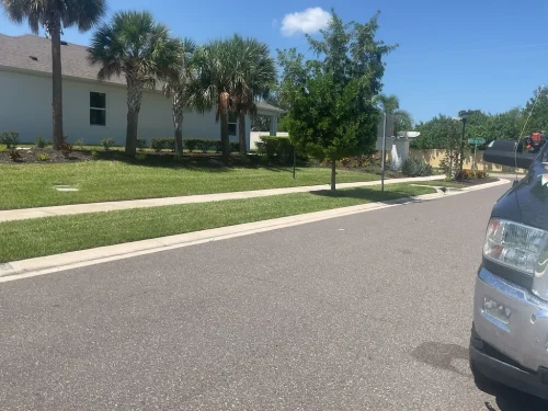 Lawn-Services-Brandon-FL-9-8-26-84