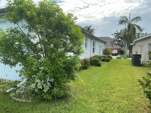 Lawn-Services-Brandon-FL-9-8-26-87