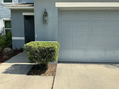 Lawn-Services-Brandon-FL-9-8-26-89
