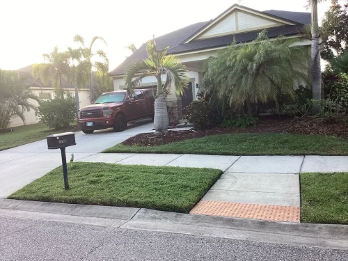 Lawn-Services-Brandon-FL-9-8-26-9