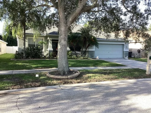 Lawn-Services-Brandon-FL-9-8-26-90