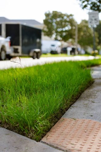 bahia-grass-riverview-fl