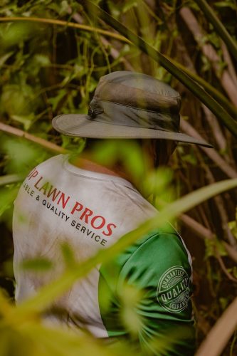 clean-up-riverview-fl