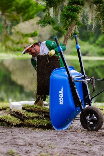 compost-soil-brandon-fl (1)