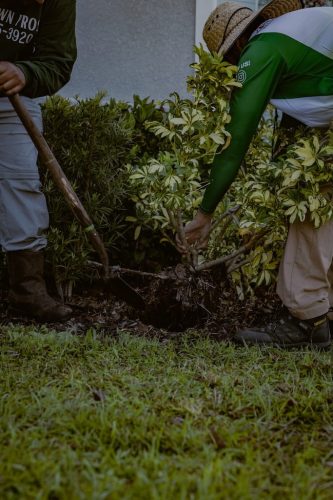 landscape-renovation-Riverview-Fl