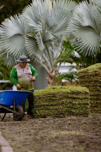 lawn-services-riverview-fl-gallery-sod-install-riverview-fl