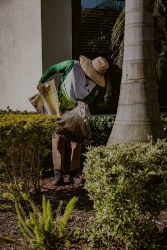 pine-bark-mulch-Brandon-Fl